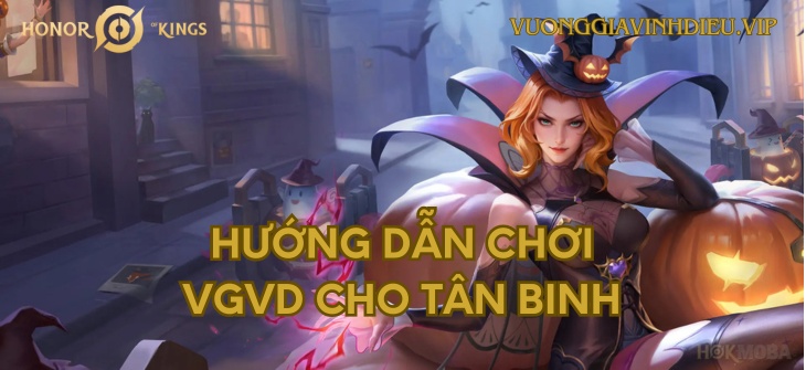 Hướng dẫn chơi VGVD chi tiết nhất